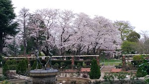 里見公園 里見公園