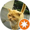 Zico Chigmano Zico Chigmano