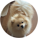 まるぞう（まるぞう）