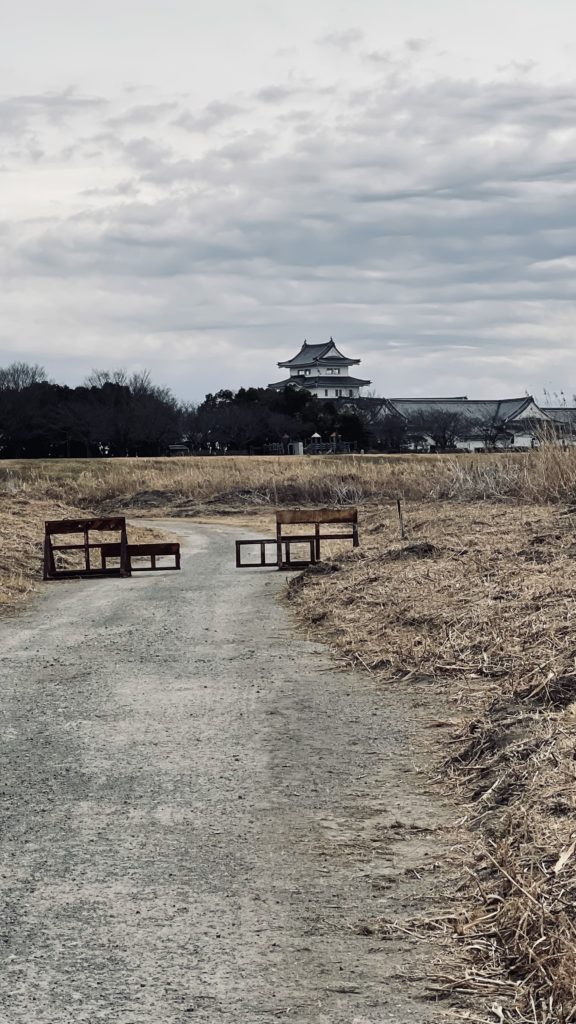 振り返り関宿城を見る
