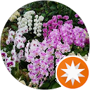 松本ラン 松本ラン