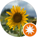 kouichi akiyama kouichi akiyama