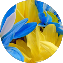 Оксана Сато