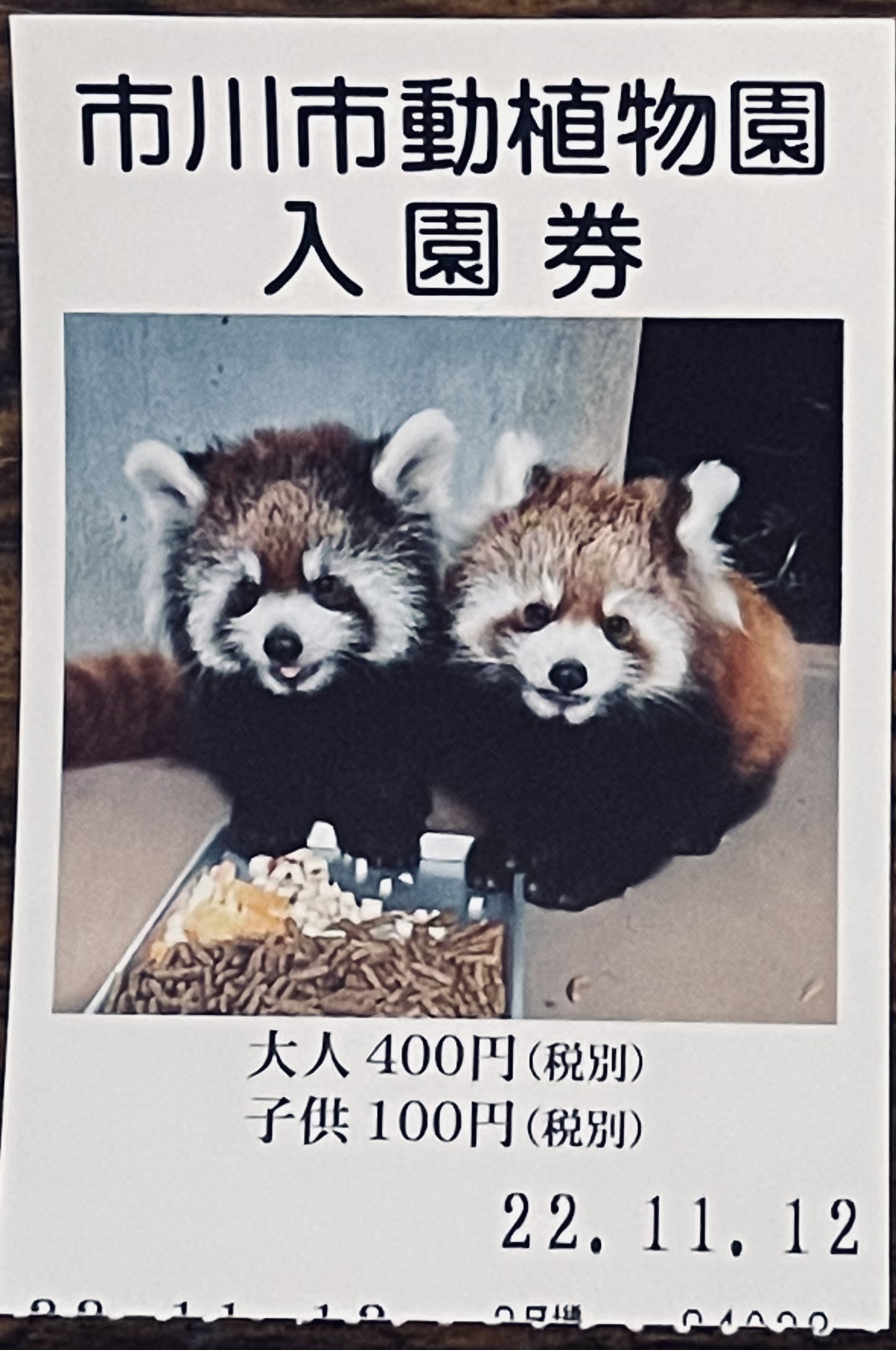 市川市動植物園入場券